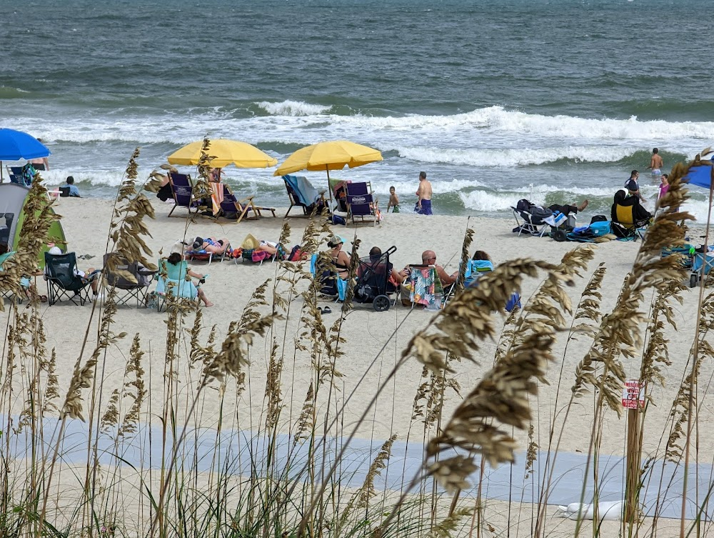 The Fort Fisher Hermit: The Life & Death of Robert E. Harrill : 