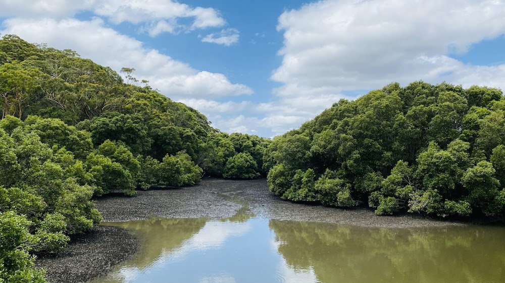 Black Water : 