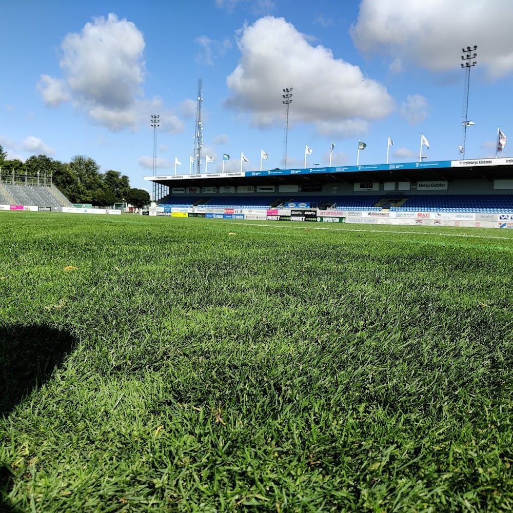 Blådårar - Om kärleken till ett fotbollslag : 