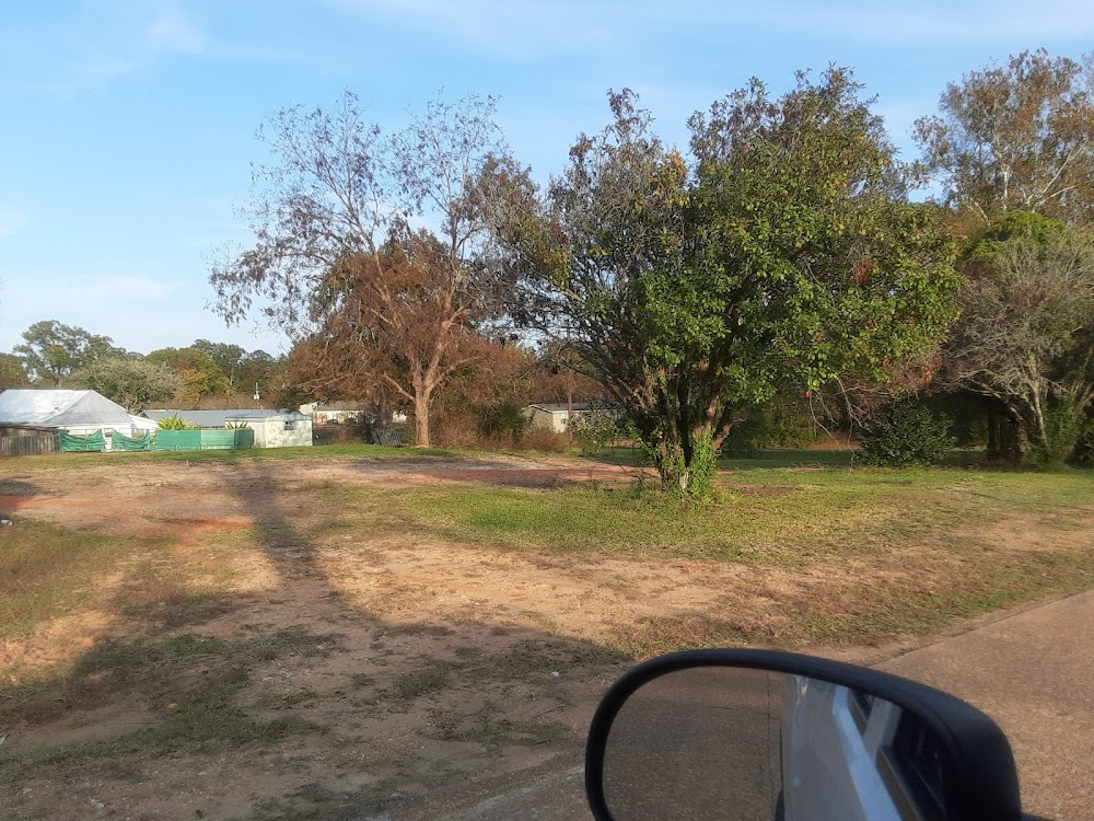 Blaze : The gas station where the press is waiting for Earl and his motorcade. This is located in the town of Montgomery, Louisiana. The site used was what use to be known as"Brock's Place".