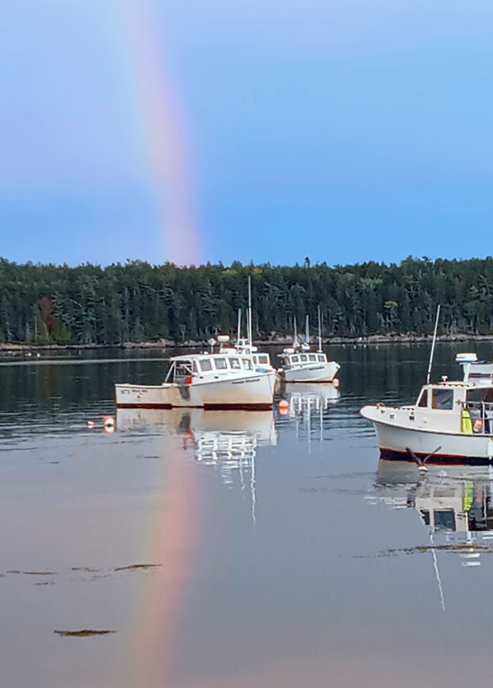 Blow the Man Down : Fishing village