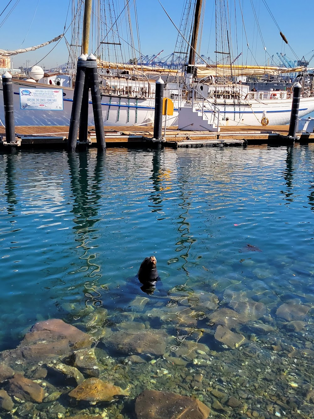 Blue City : As 'Blue City, Florida": Port scenes