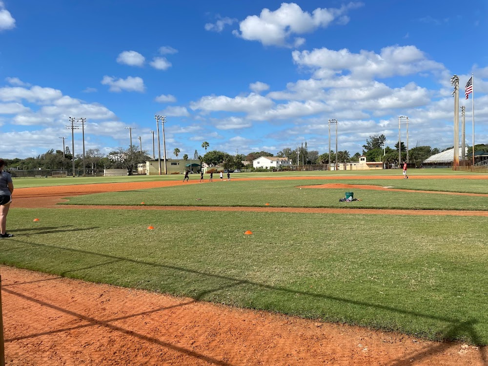 Blue Skies Again : baseball field