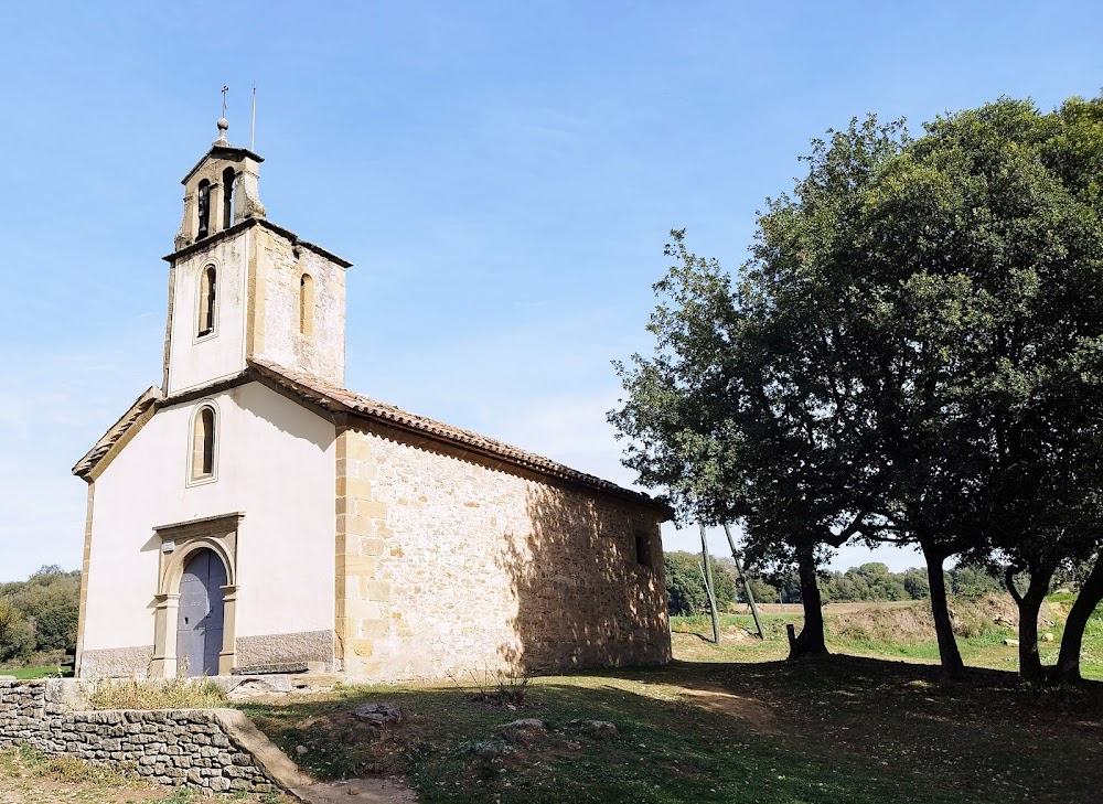 Bon cop de falç. La història de l'himne : 