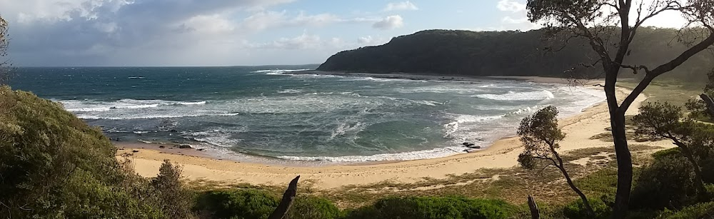 Bondi Tsunami : 