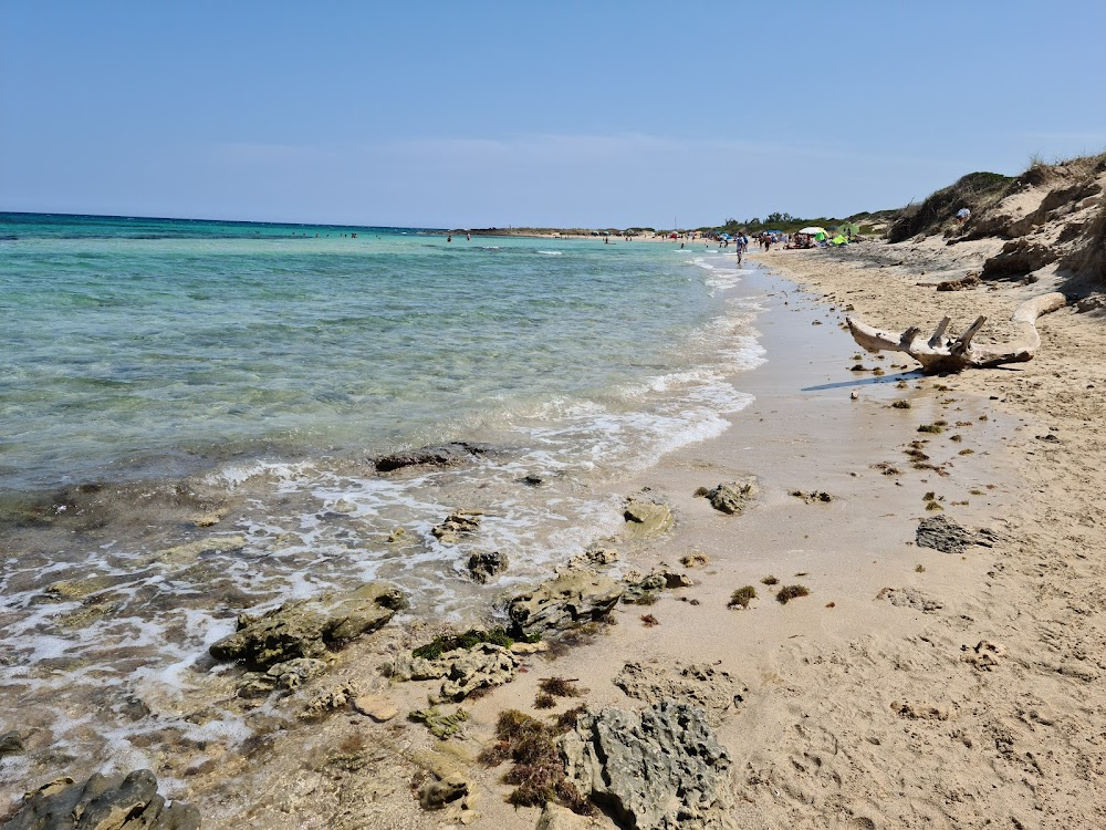 Borderline : Olive Trees, Beach, Bikes, Abandoned House