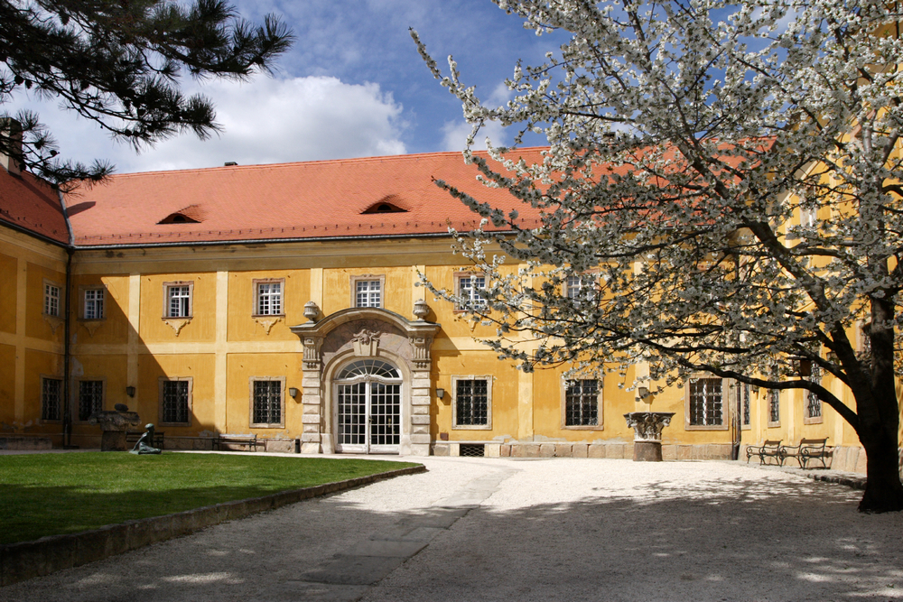 Boszorkányház : cellar of witch council