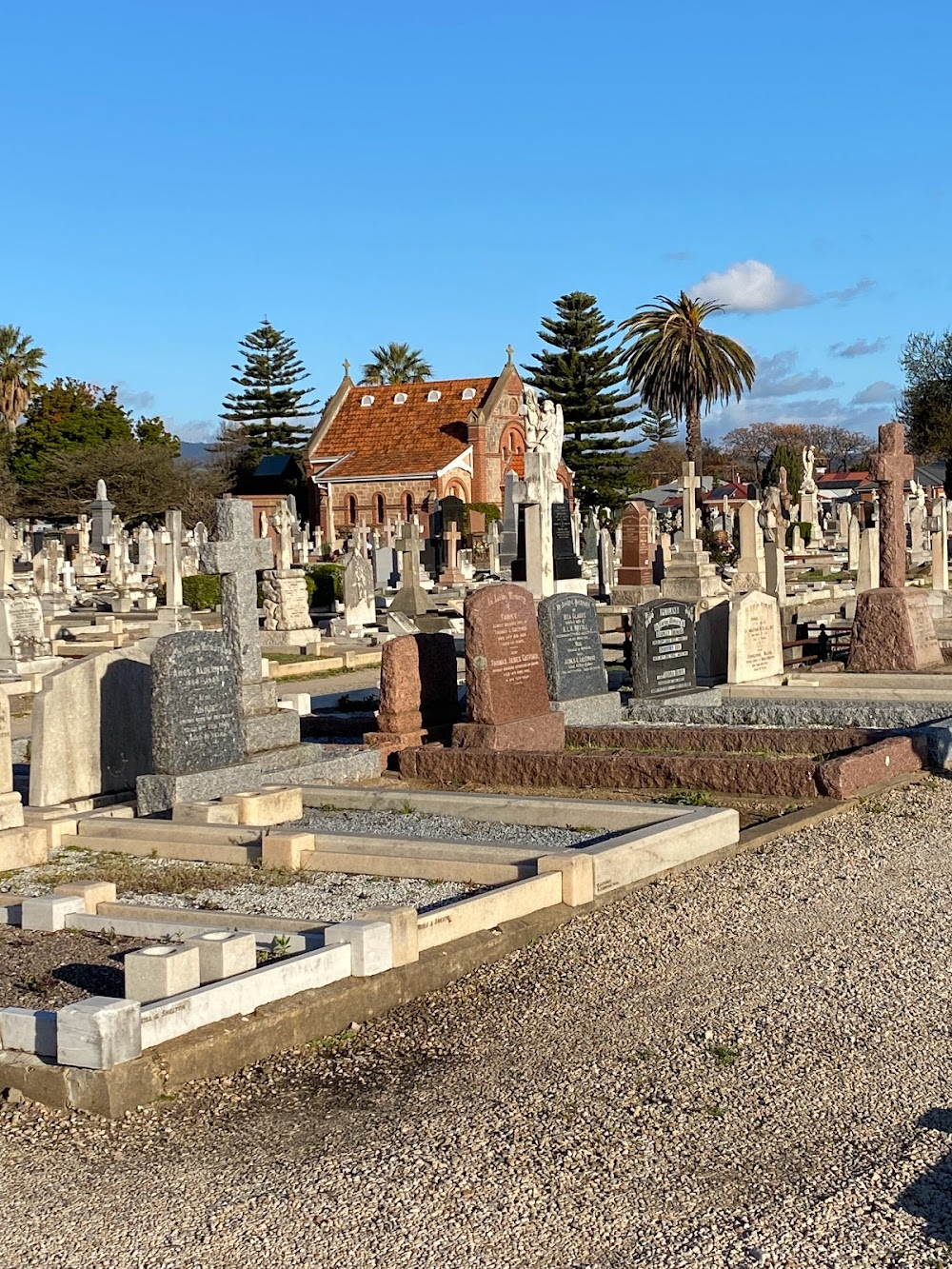 Boys in the Trees : cemetery