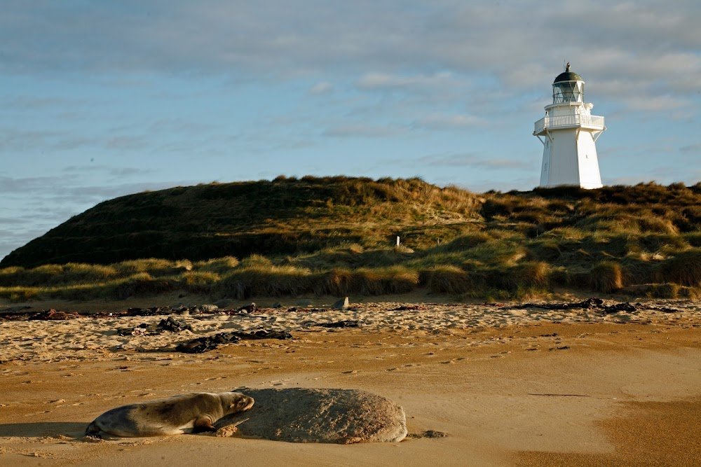 Brotherhood of the Rose : lighthouse and beach scenes