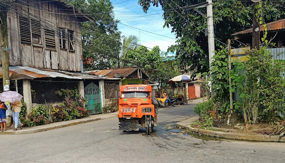 Agusan Marsh Diaries : 