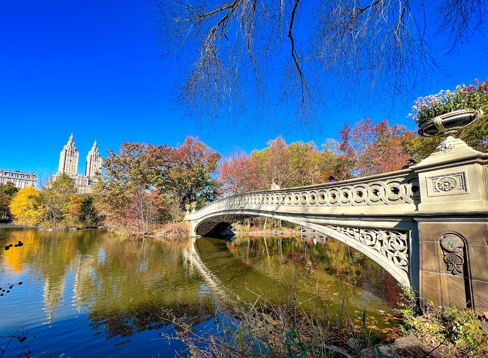 Miracle in the Rain : bridge on which Ruth and Grace are standing in Central Park