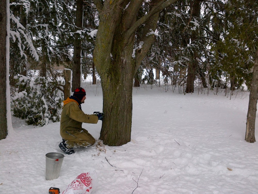 Canada Naturally: The Film (Part One) : 