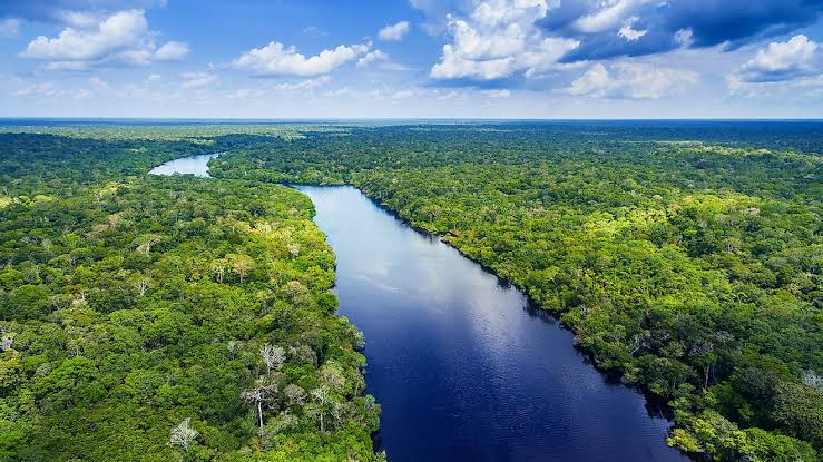 Pororoca: Surfing the Amazon : 