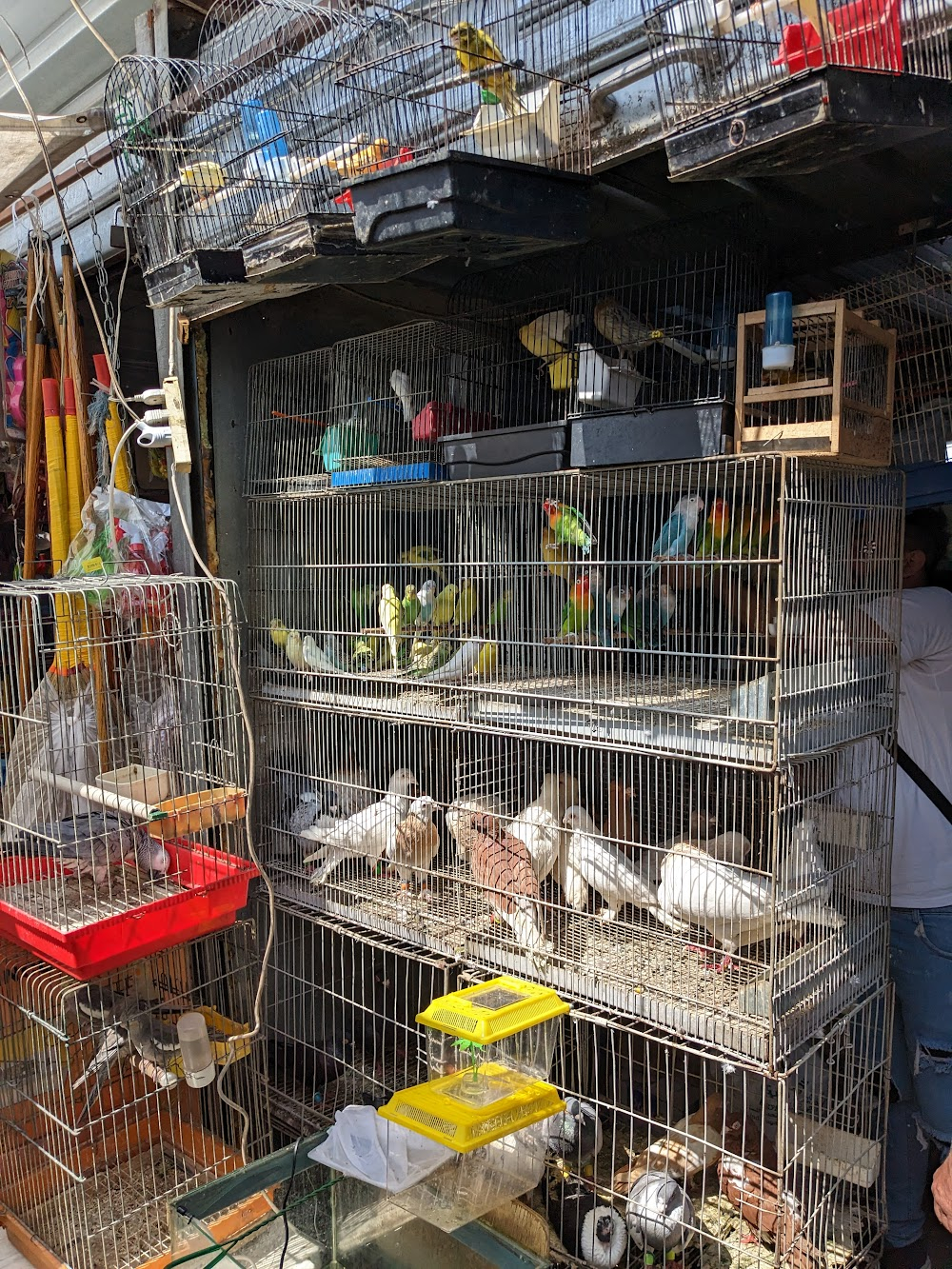 Capharnaüm : street market