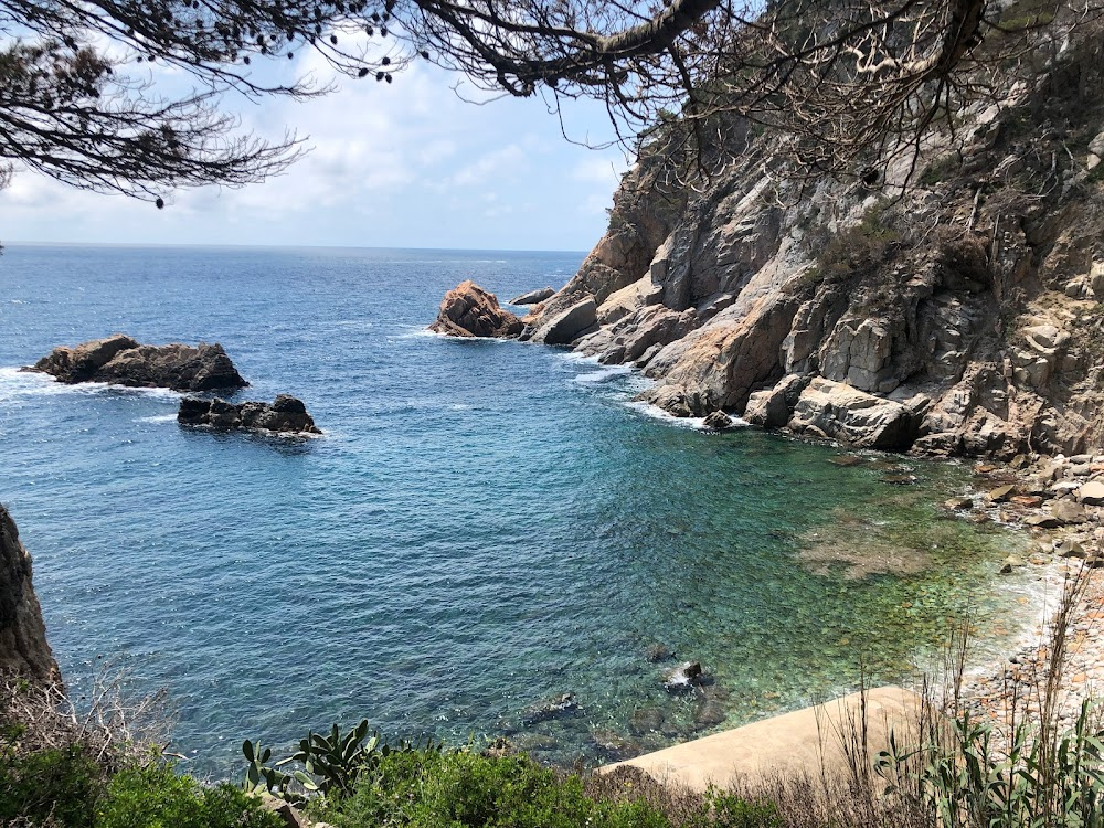 Carcosa : Beach