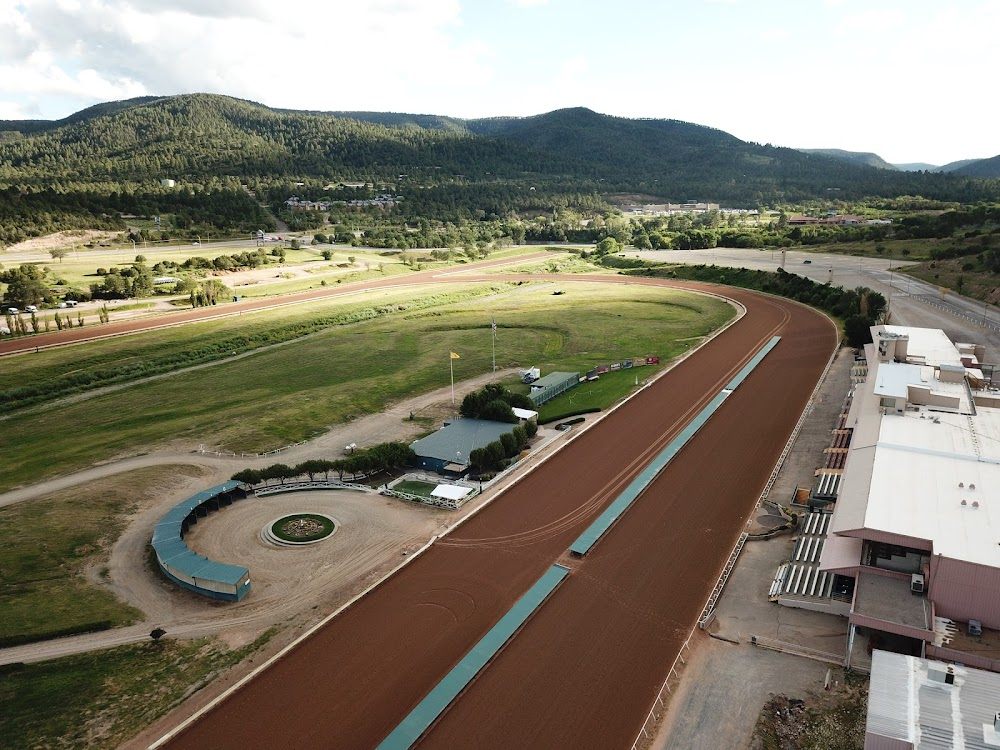 Casey's Shadow : horse racing course