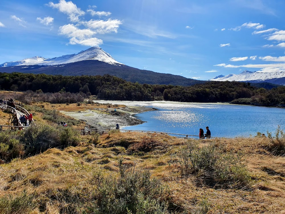 Castores. La invasión del fin del mundo : Parque Nacional Argentino