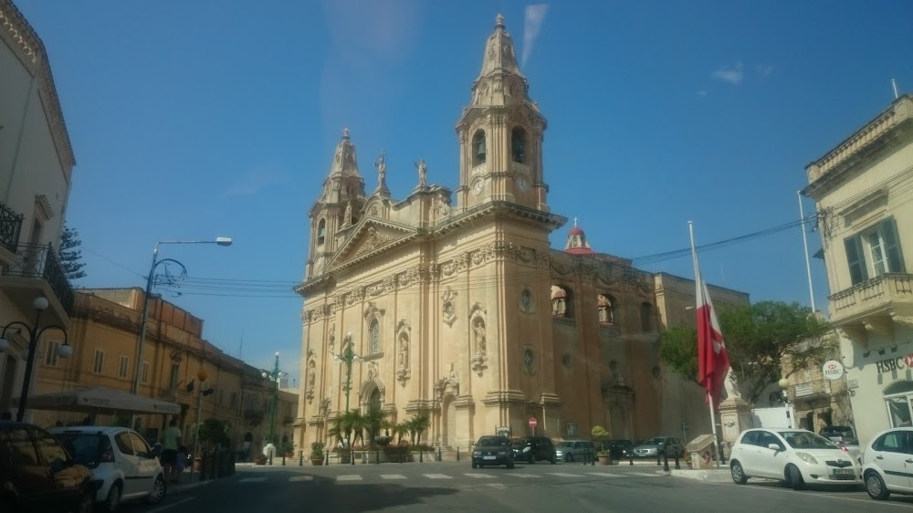 Cats of Malta : 