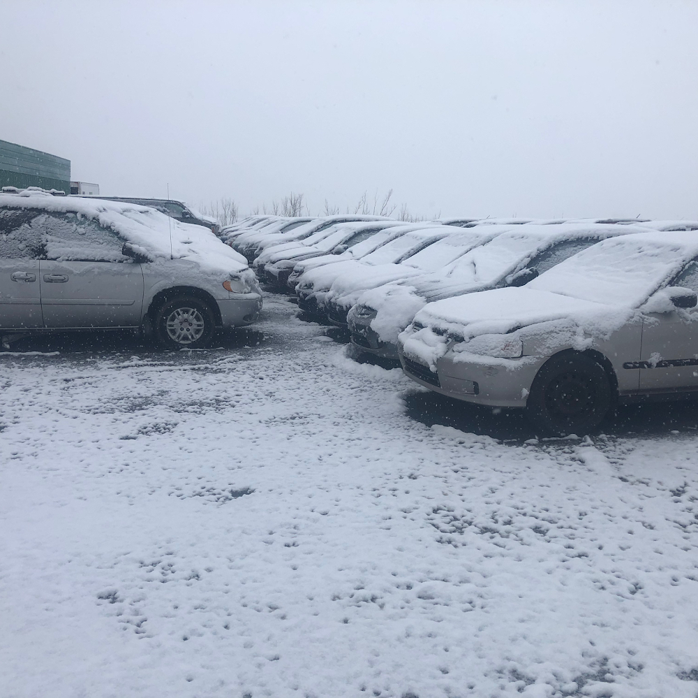 C'est pas la faute à Jacques Cartier : the youngsters offload rocking in a scrap yard