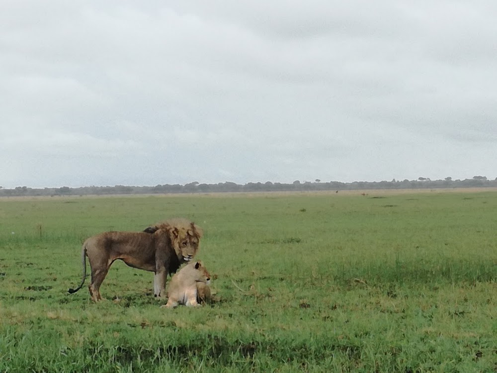 Cheetahs of the Linyanti : location