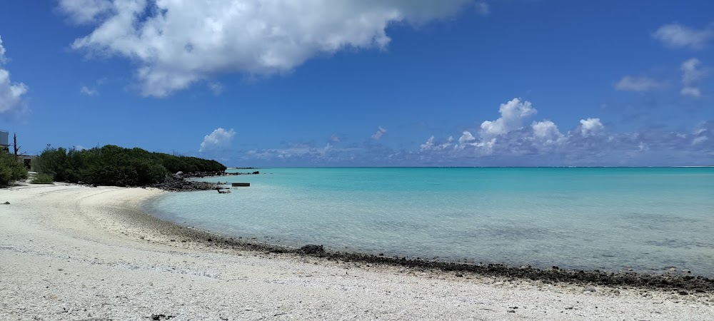 Wake Island: Alamo of the Pacific : 