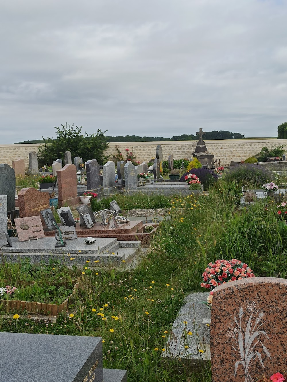 China's Van Goghs : Xiaoyong meditates on the grave of Vincent and Theo Van Gogh