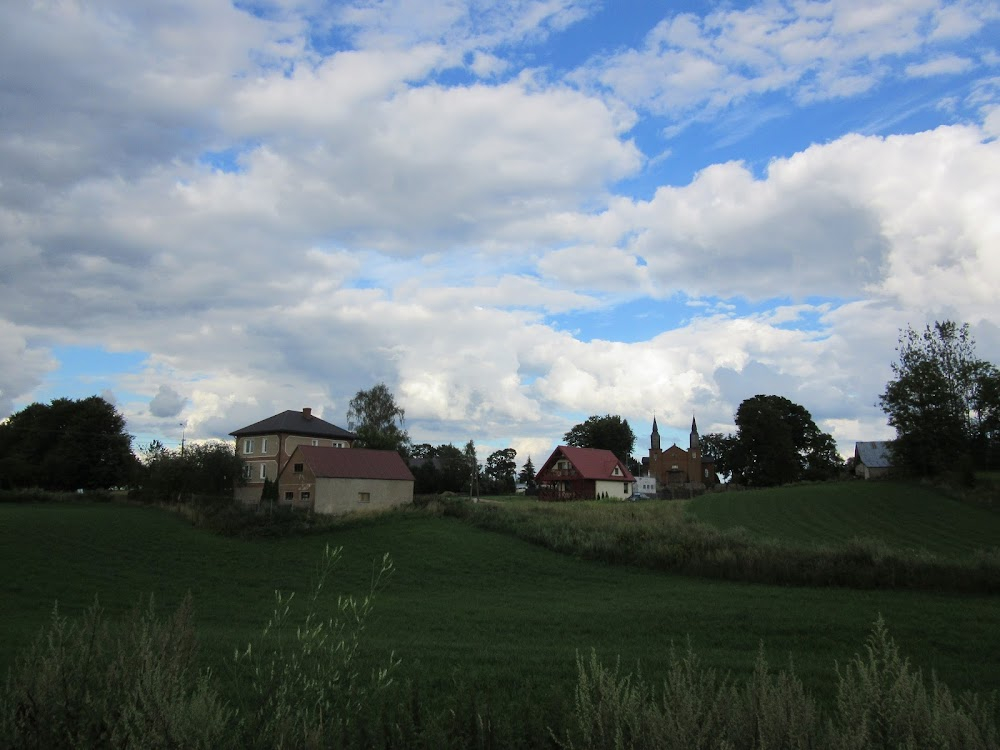 Chlopiec na galopujacym koniu : 