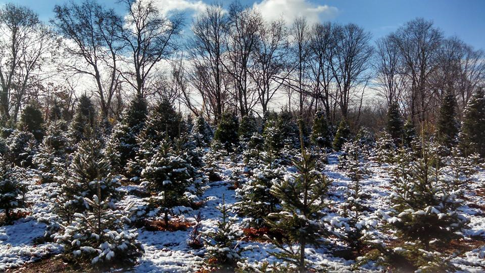 Christmas at Pemberley Manor : 