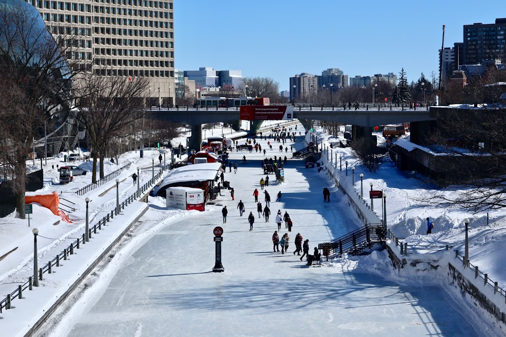 Christmas Coach : Skating rink