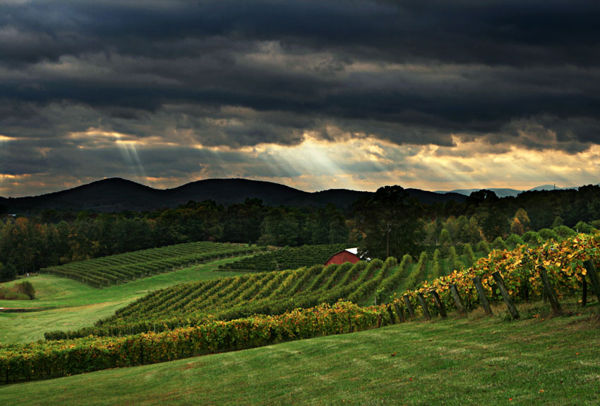 Christmas in the Smokies : 