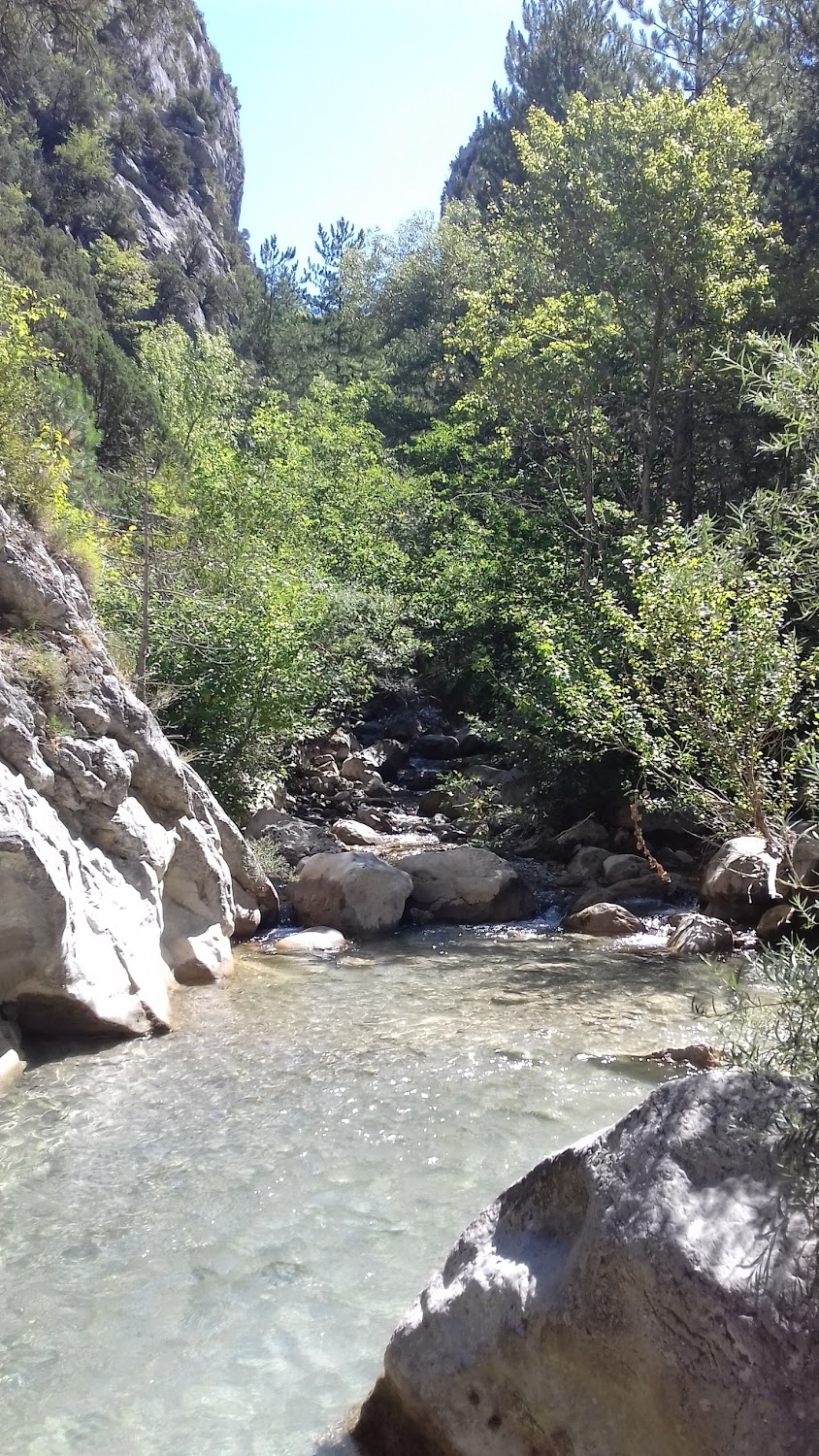 Chronique d'une liaison passagère : canyon of the Estoublaïsse river