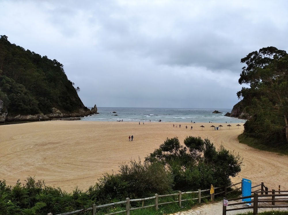 Círculos sobre agua, bajo nubes de algodón : 