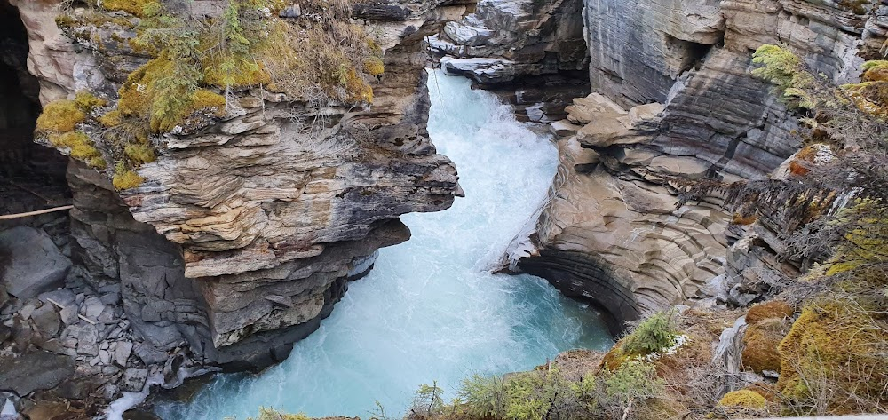 Canadian Rockies by Rail : 