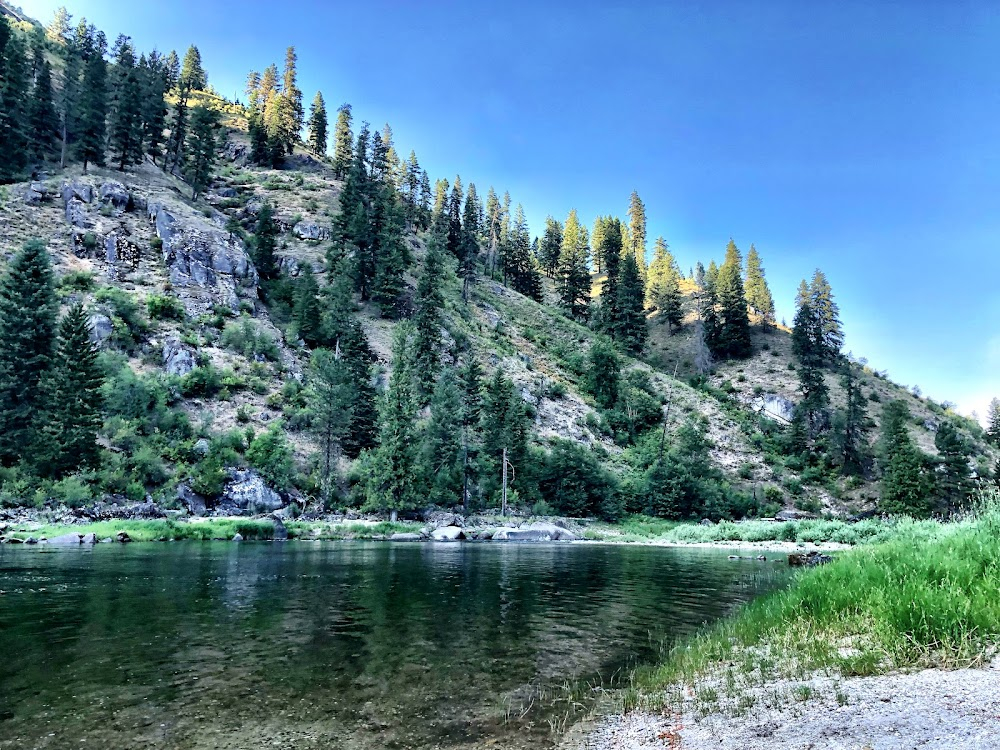 Charlie, the Lonesome Cougar : River Log Drive