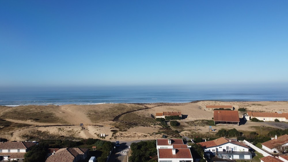 Comme un chien dans une église : scenes on the beach