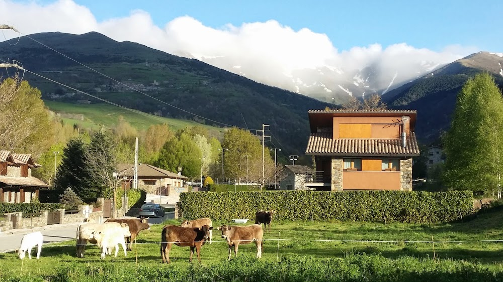 Companys, procés a Catalunya : 