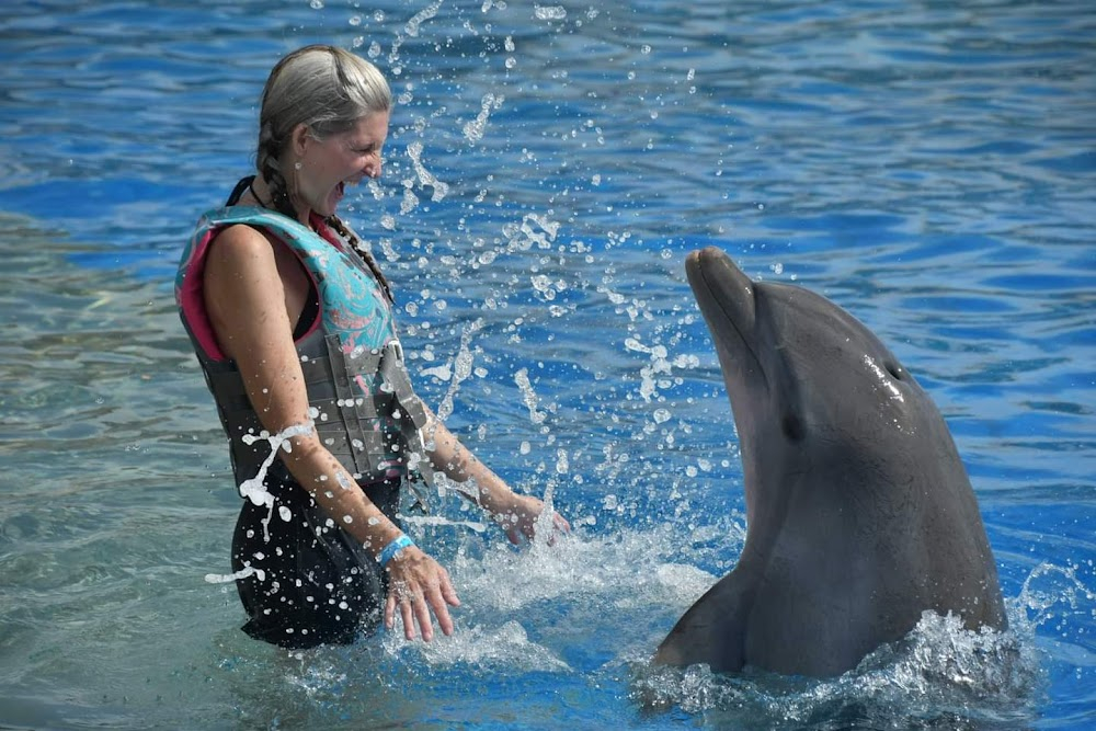 Benji Takes a Dive at Marineland : 