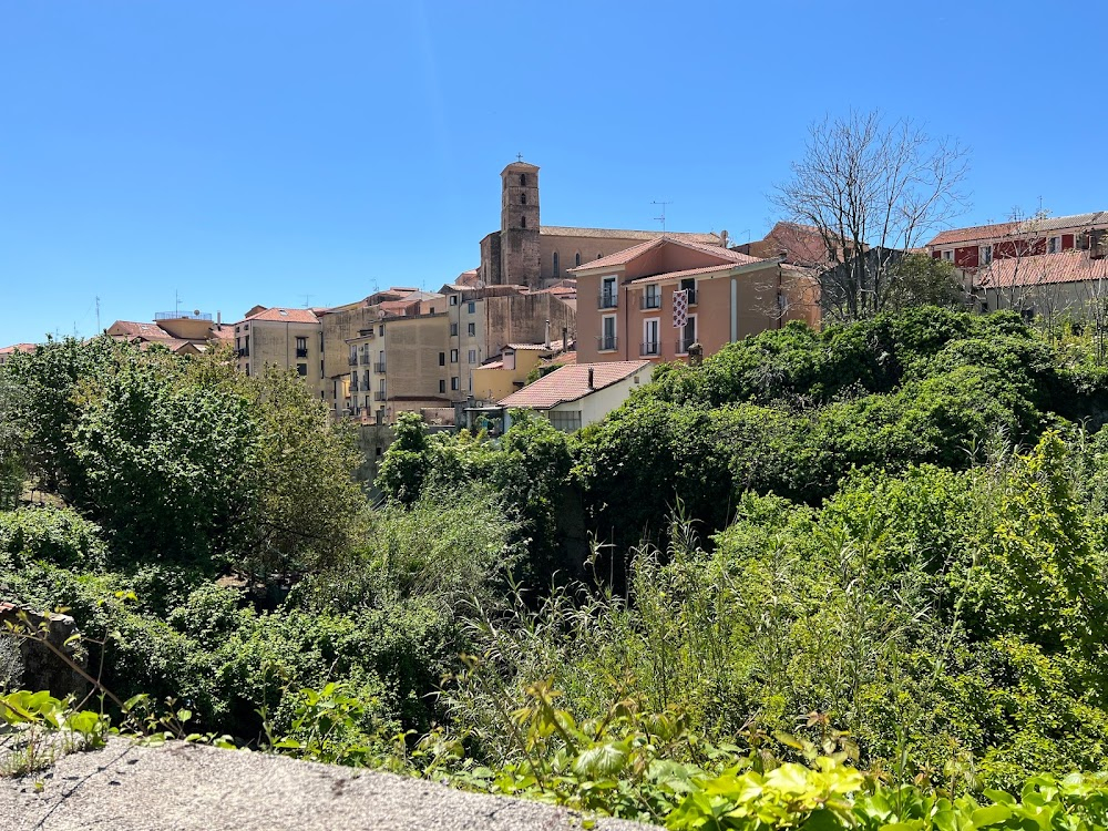 Il ragazzo della Giudecca : 