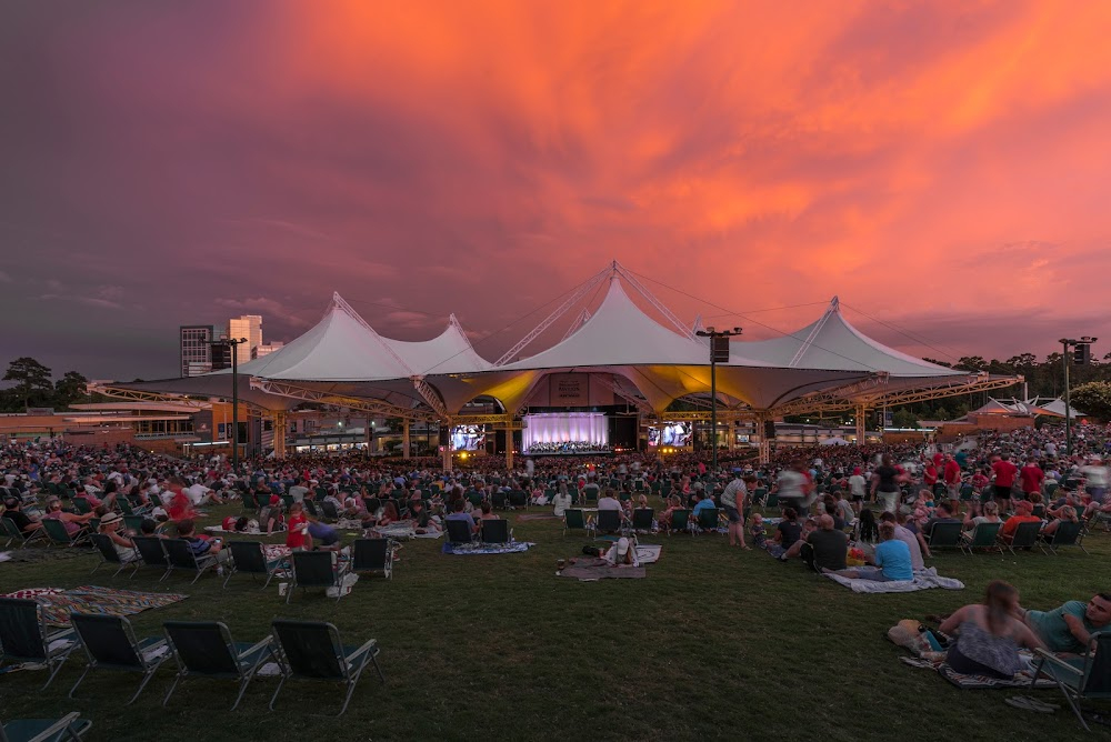 B.B. King: Live at the Woodlands : 