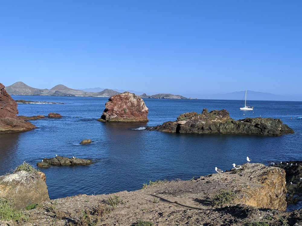 Cruise of the Zaca : San Benitos Islands