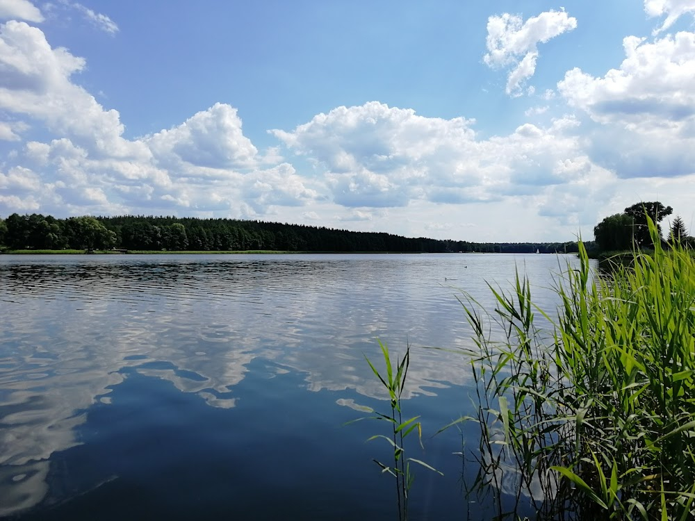 Cudownie ocalony : lake