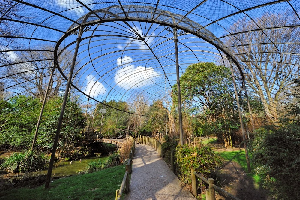 Les bonnes femmes : scenes at the zoo