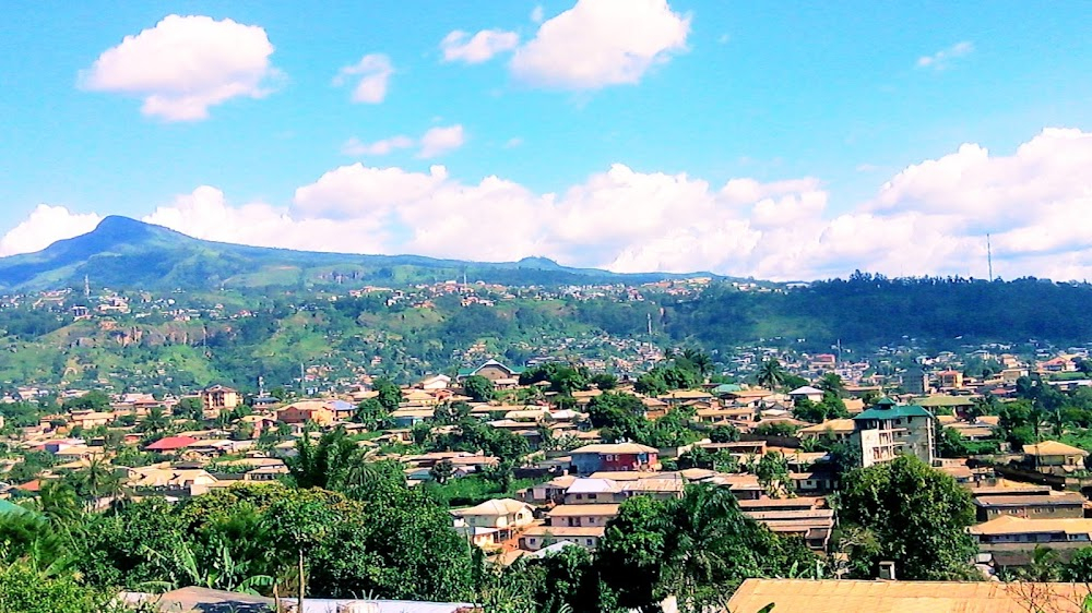 Cutlass : Northwest Region, Cameroon