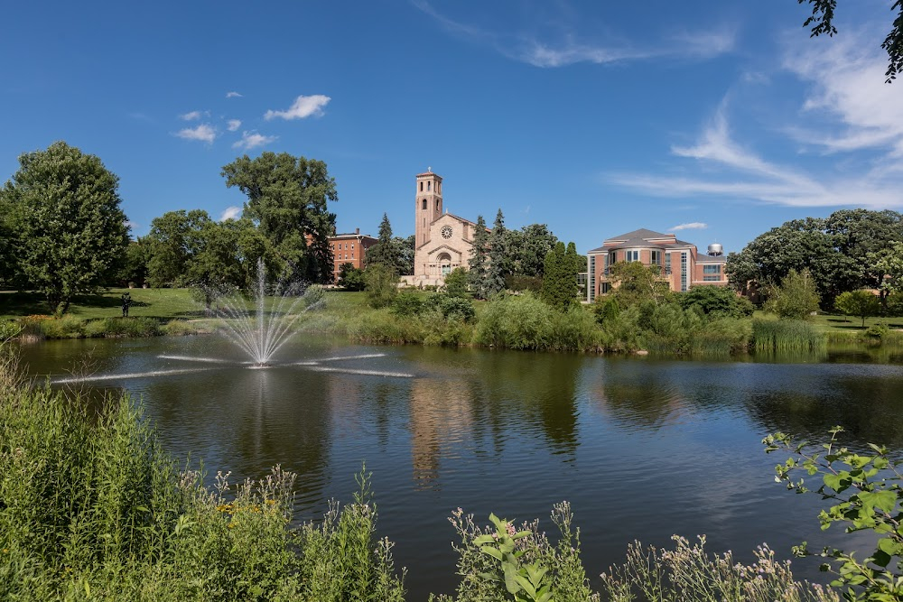 D3: The Mighty Ducks : now St. Catherine University