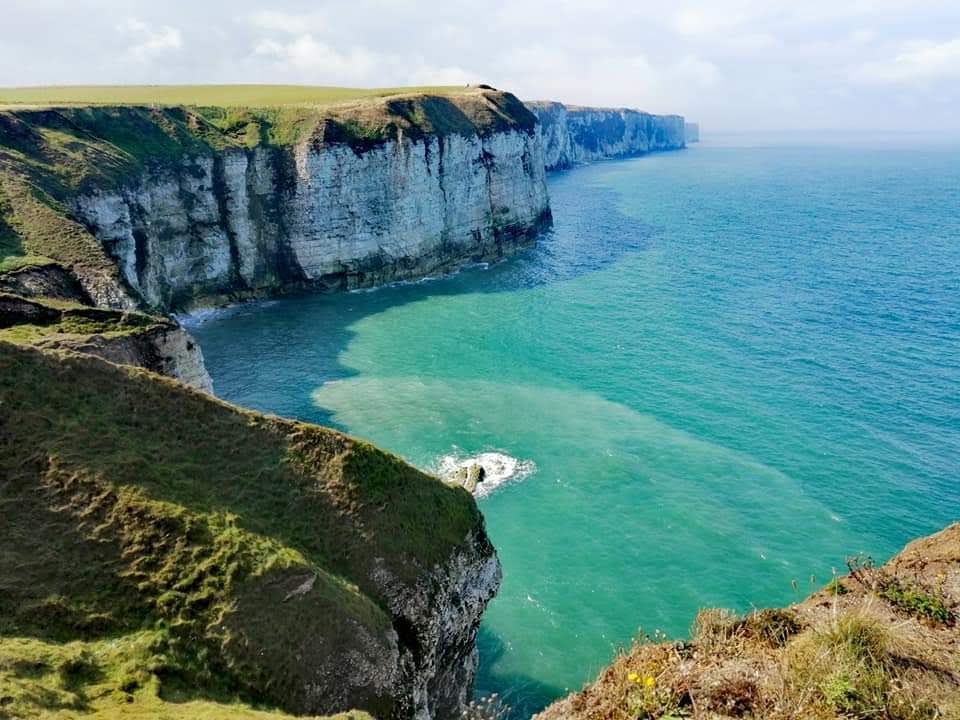 The Egg Harvest of Flamborough Head : 