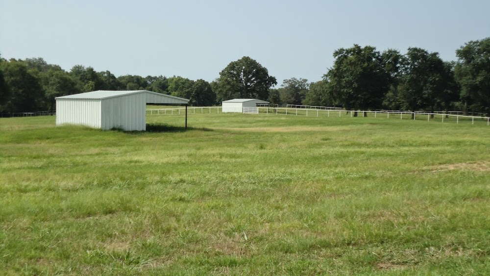 Dallas : Clayton's ranch