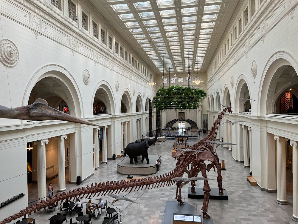 Chicago, the Beautiful : Field Museum of Natural History