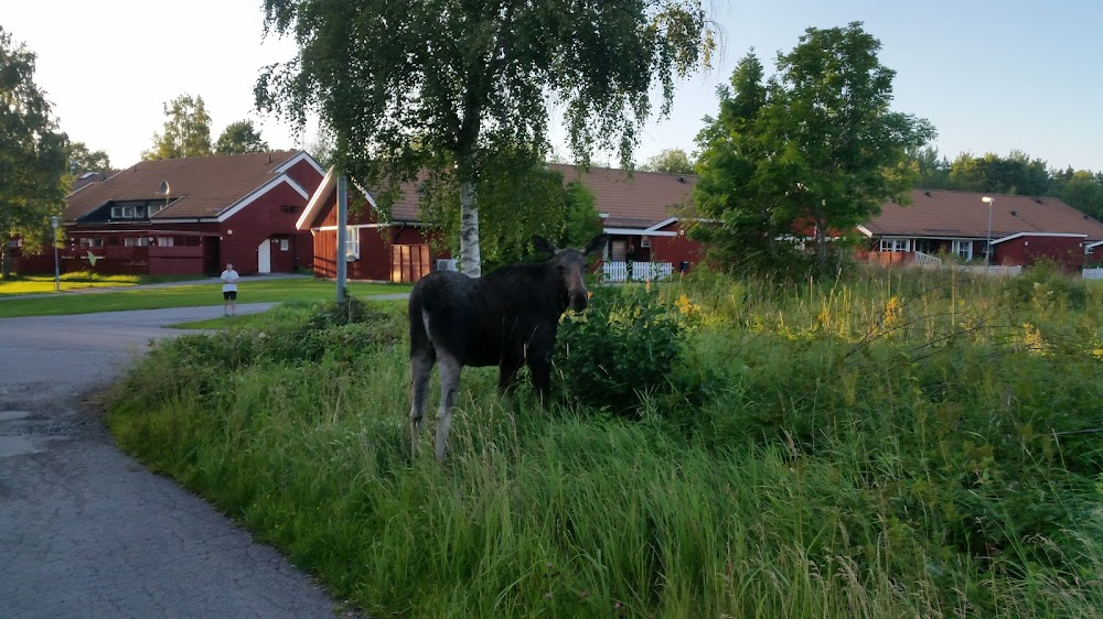 Dansa först : location