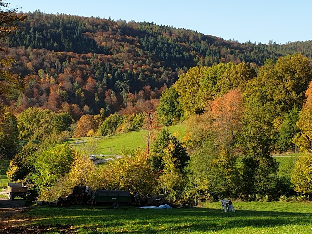 Das Wirtshaus im Spessart : 