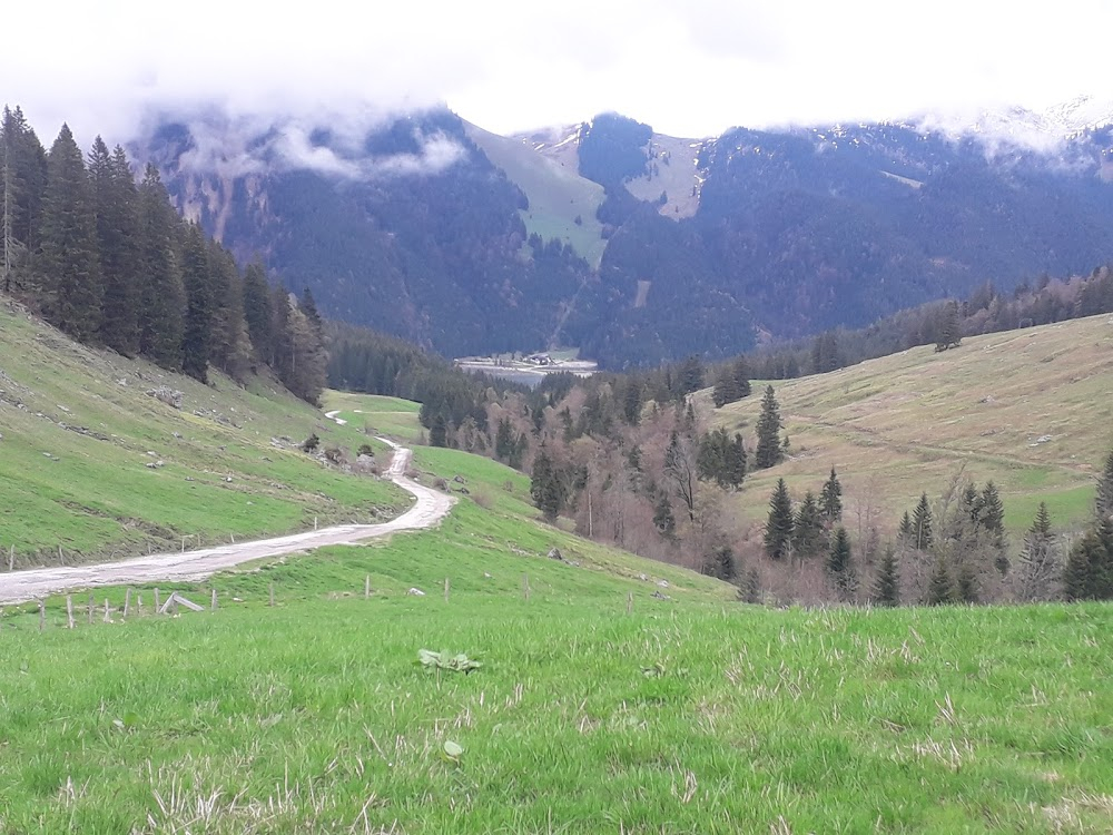 Das Wunder des Schneeschuhs, 2. Teil - Eine Fuchsjagd auf Skiern durchs Engadin : 